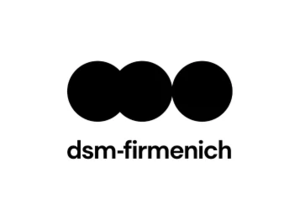 DSM