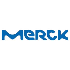 Logo 31